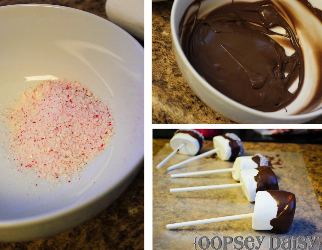 hot cocoa gift_dip marshmallows