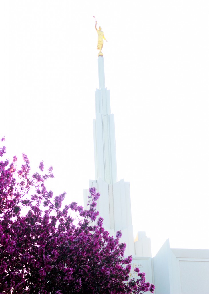 Spring at the TEmple-56